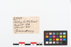 Etikett zu Golddrahtring (NHMW-PRAE-025483)